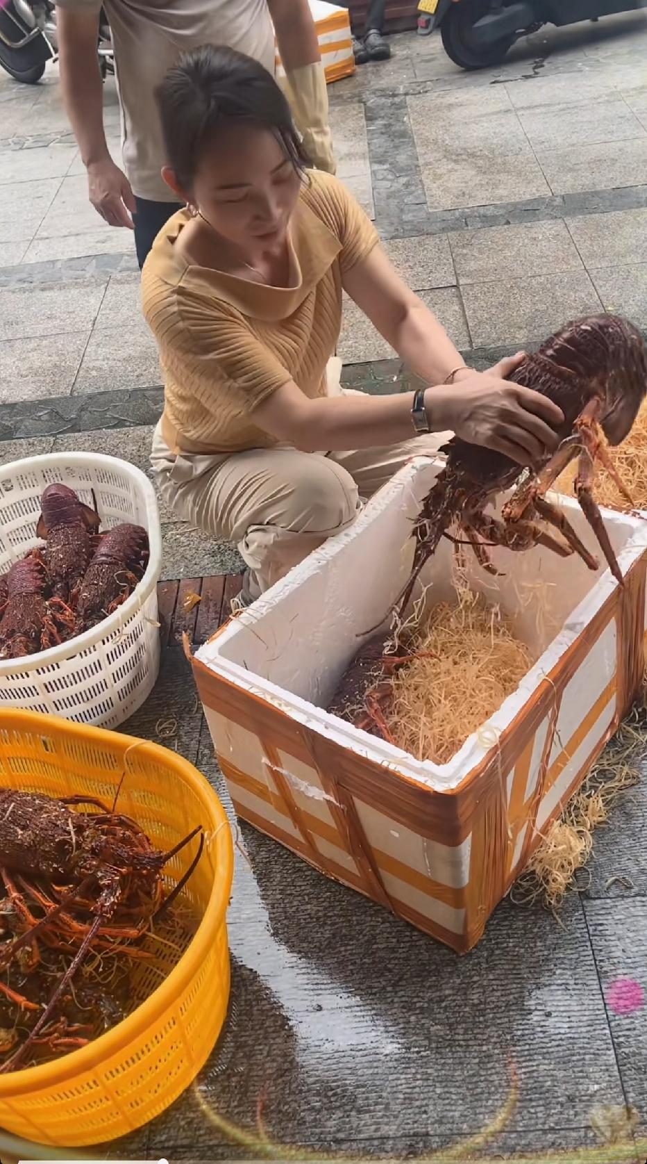 这么大的虾没吃过！200能买一只吗[doge]