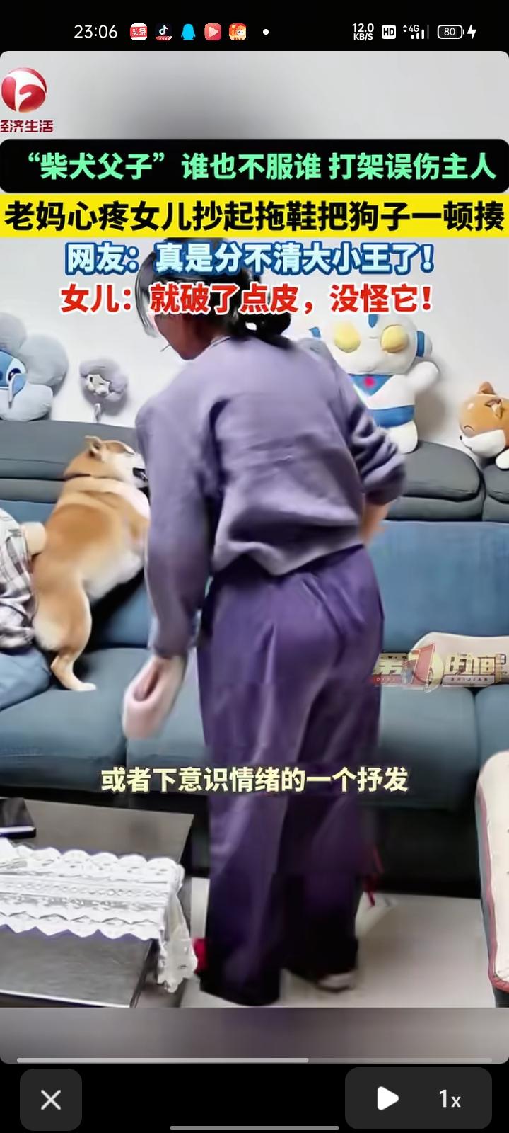 3月27日，四川成都。监控画面显示，女子坐在沙发上，两只柴犬在沙发上打架，不慎咬