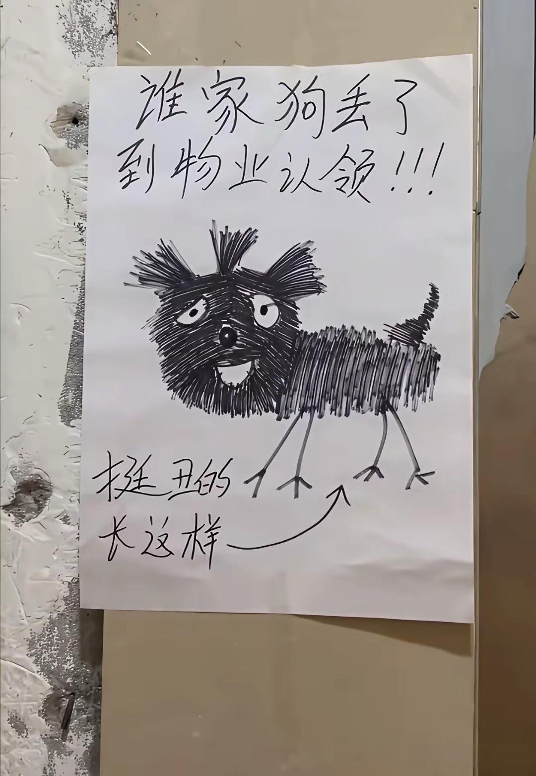 确实不好看