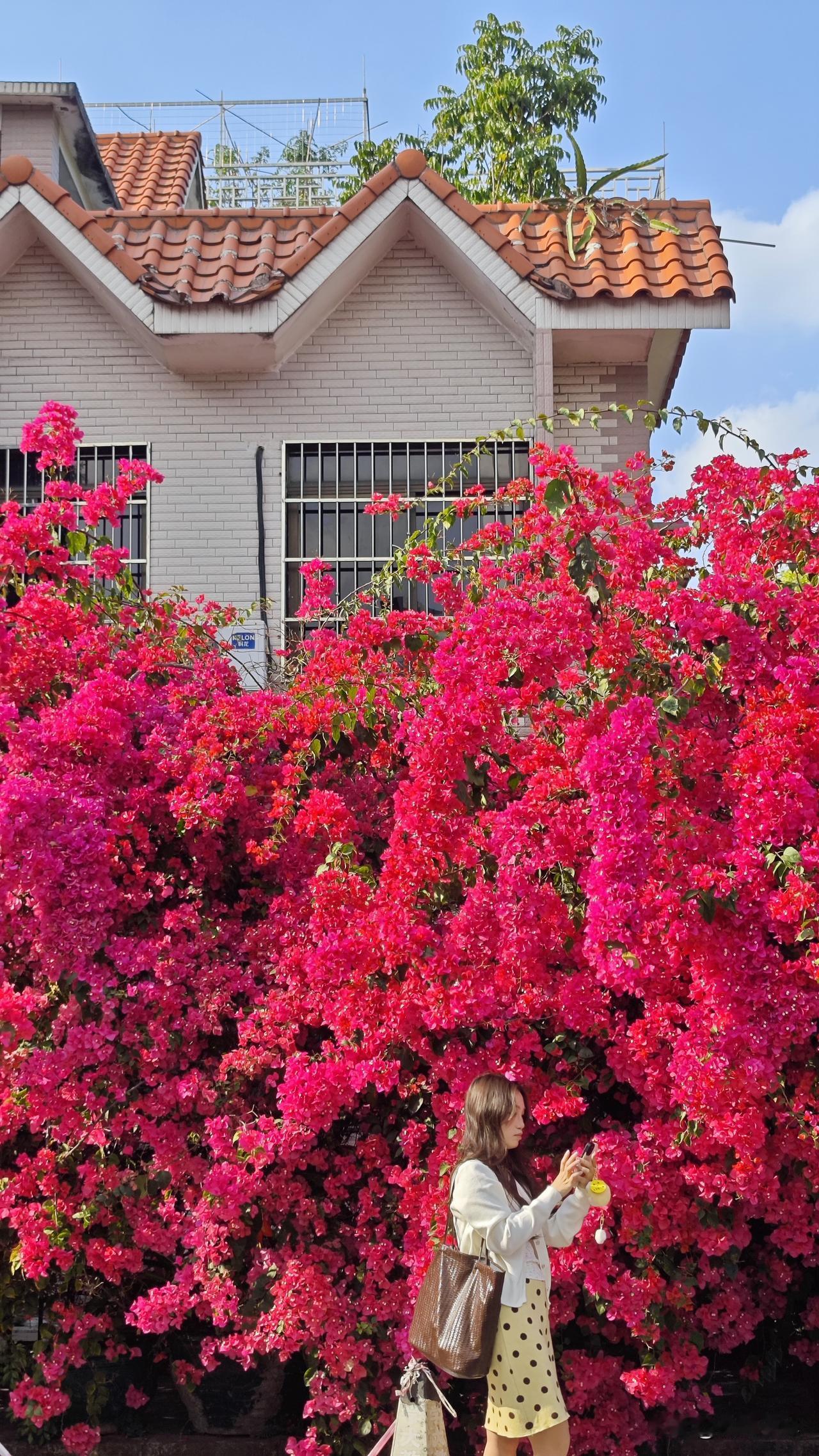 李姐原先是某局副局长，却在55岁时选择提正处级后退休。别人都说她太可惜了，少工作