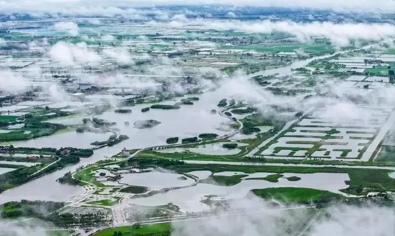 天津一对退休夫妻开辆小车一路晃到盐城湿地公园，把车往指定空地一停，就地煮云吞、泡