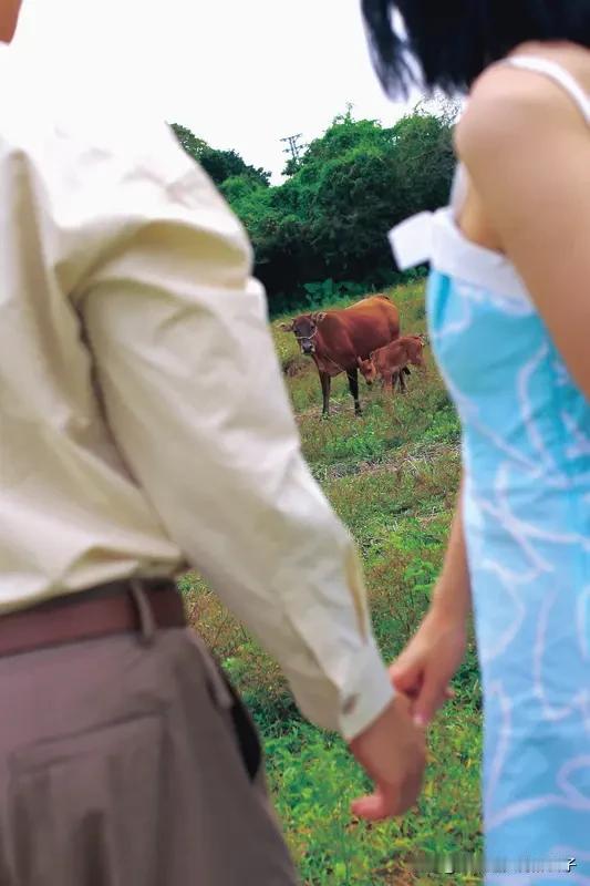 被老牛吃嫩草的婚姻会幸福吗？还真不好说。就像32岁的王女士，24岁时不顾家人反对