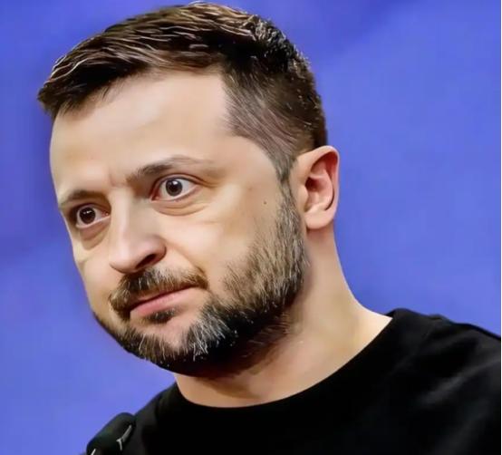 泽连斯基可能对不起乌克兰，对不起俄罗斯，也对不起斯拉夫人，但他肯定对得起欧洲，对