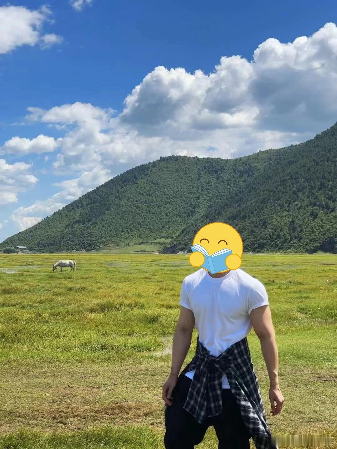 好想回到那个时候现在已经变成猪