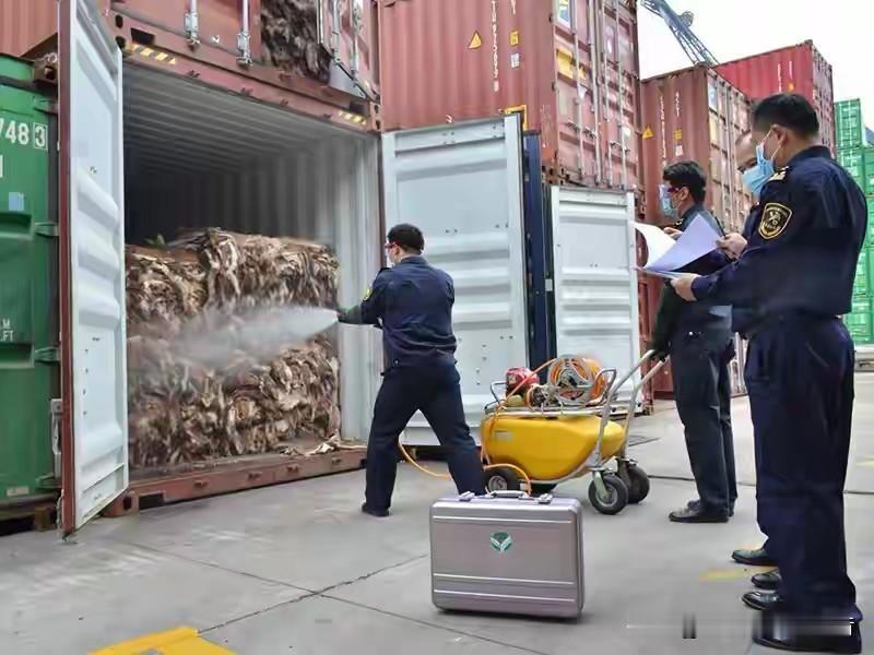 印度辣椒被中国海关给退了。那批货里头检出了甲胺磷，这玩意儿可是高毒的农药，人要是