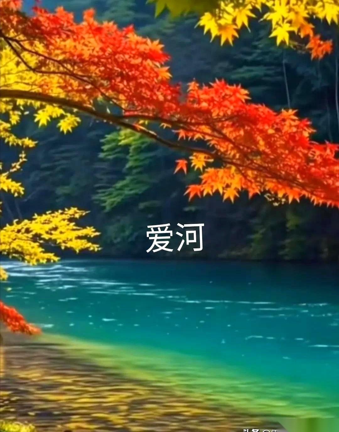 一个月挣五千，肯为你花四千九。跟一个月挣五十万，心情好时赏你五千。你品，你细