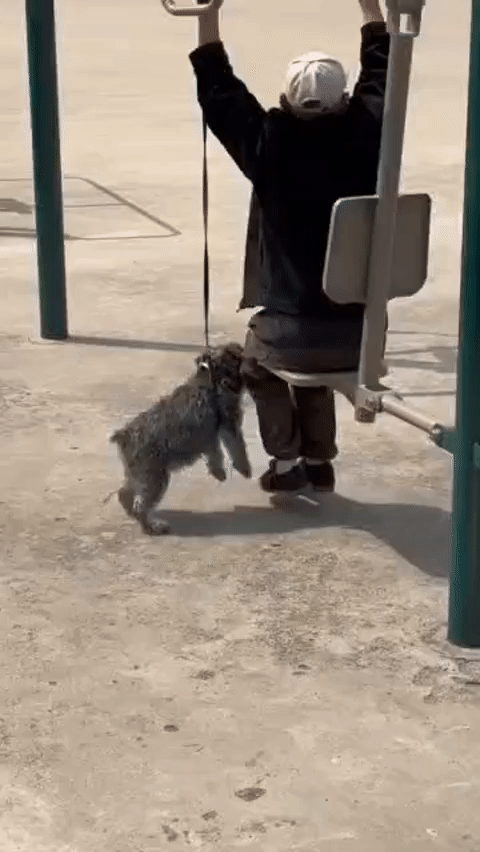 这操作谁懂啊[笑着哭]真的越看越揪心，有些人为了自己舒服，完全不管身边小动物的感