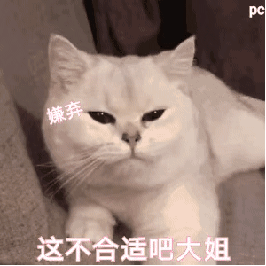 斗图表情包必不可少