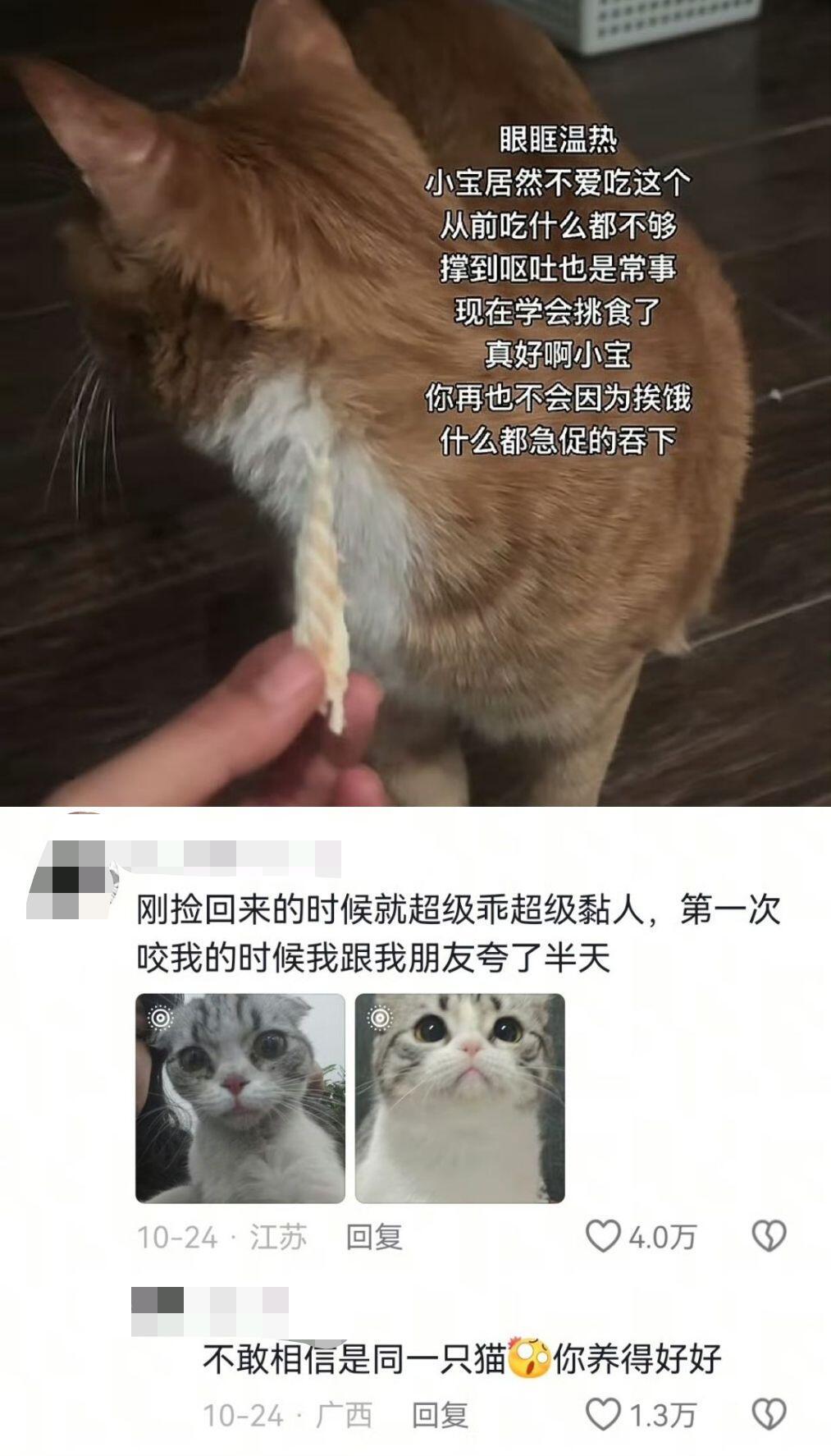 爱是它挑食你说它终于开始对自己好