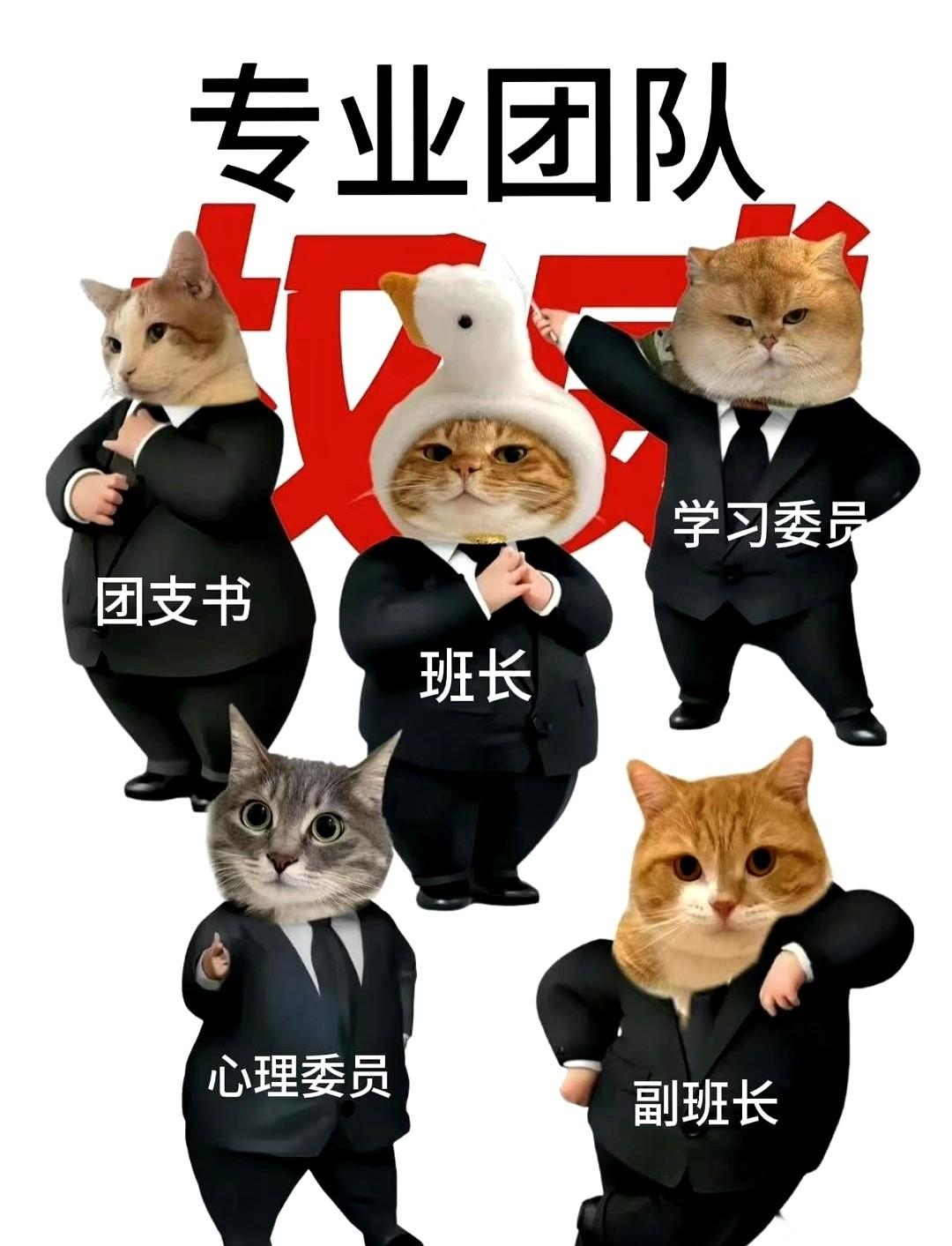 别抢了，真别抢了！看着新生群里为了个“班长”头衔撕得面红耳赤，我真想顺着网线冲