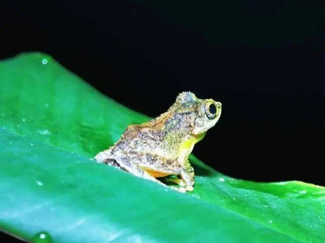 刚刷到个事。团长在操场上对一个兵说：“你俩结婚。”你以为这是包办婚姻吧？其实