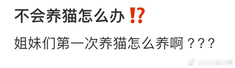 姐妹们第一次养猫怎么养啊❓​​​