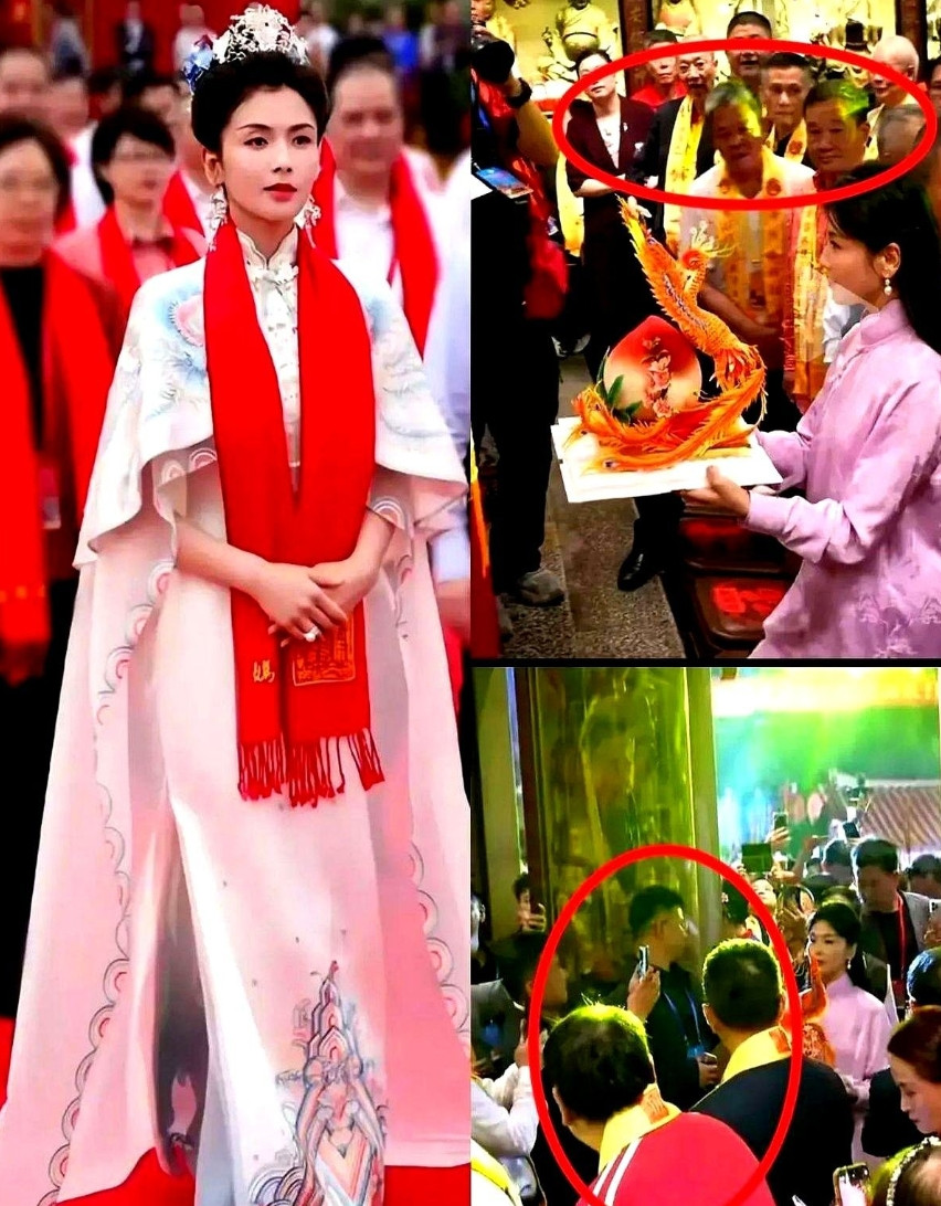 刘涛这