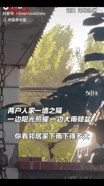 "这不科学！"河北沧州一男子推门想出去走走，刚到院子里抬头一看愣住了——隔壁邻居