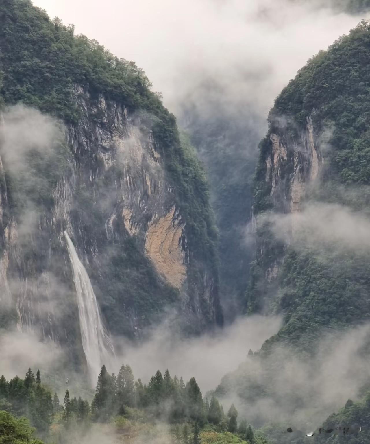 避峰恩施大峡谷，邂逅秘境鹿苑坪：一场暴雨中的意外惊喜前几日在神农顶，刷到恩施