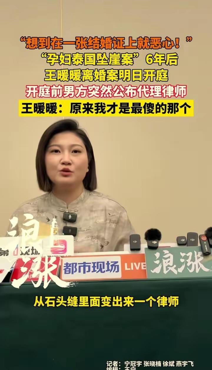他在泰国蹲大牢还想拖？这下彻底没戏了！泰国监狱刚驳回减刑，南京法院更直接开了绿灯