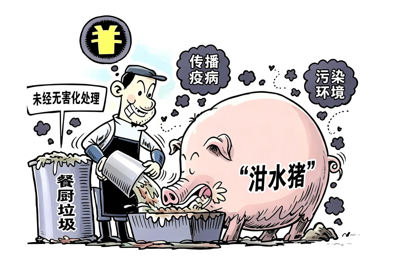 泔水突然不让喂猪了？其实20年前就已经开始了，只不过近日的《生态环境法典》正式实