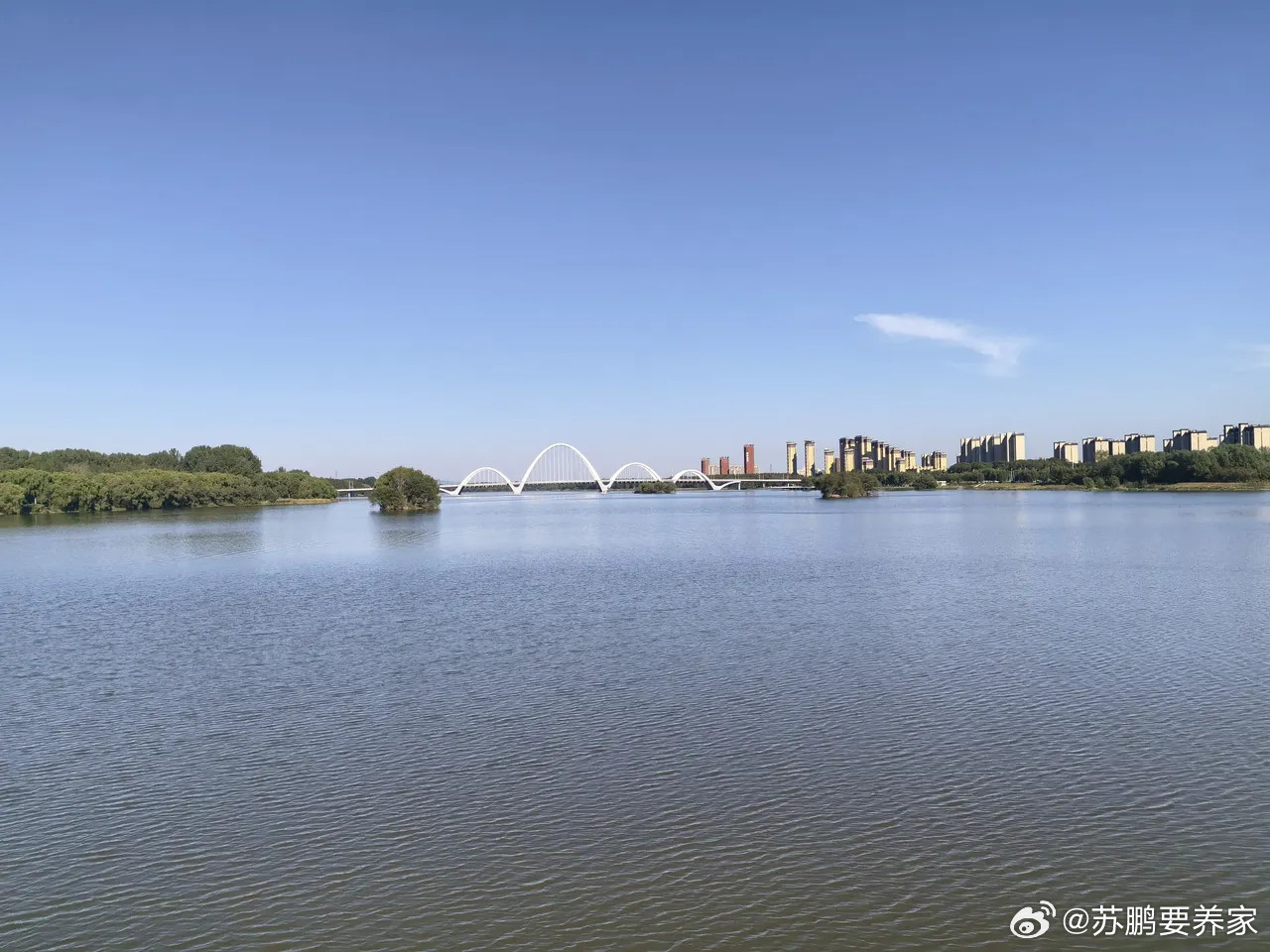 今天，A股已经杀红眼，节前暴力一击，节后再来暴力一击，不废话，直接亮明我的策略。
