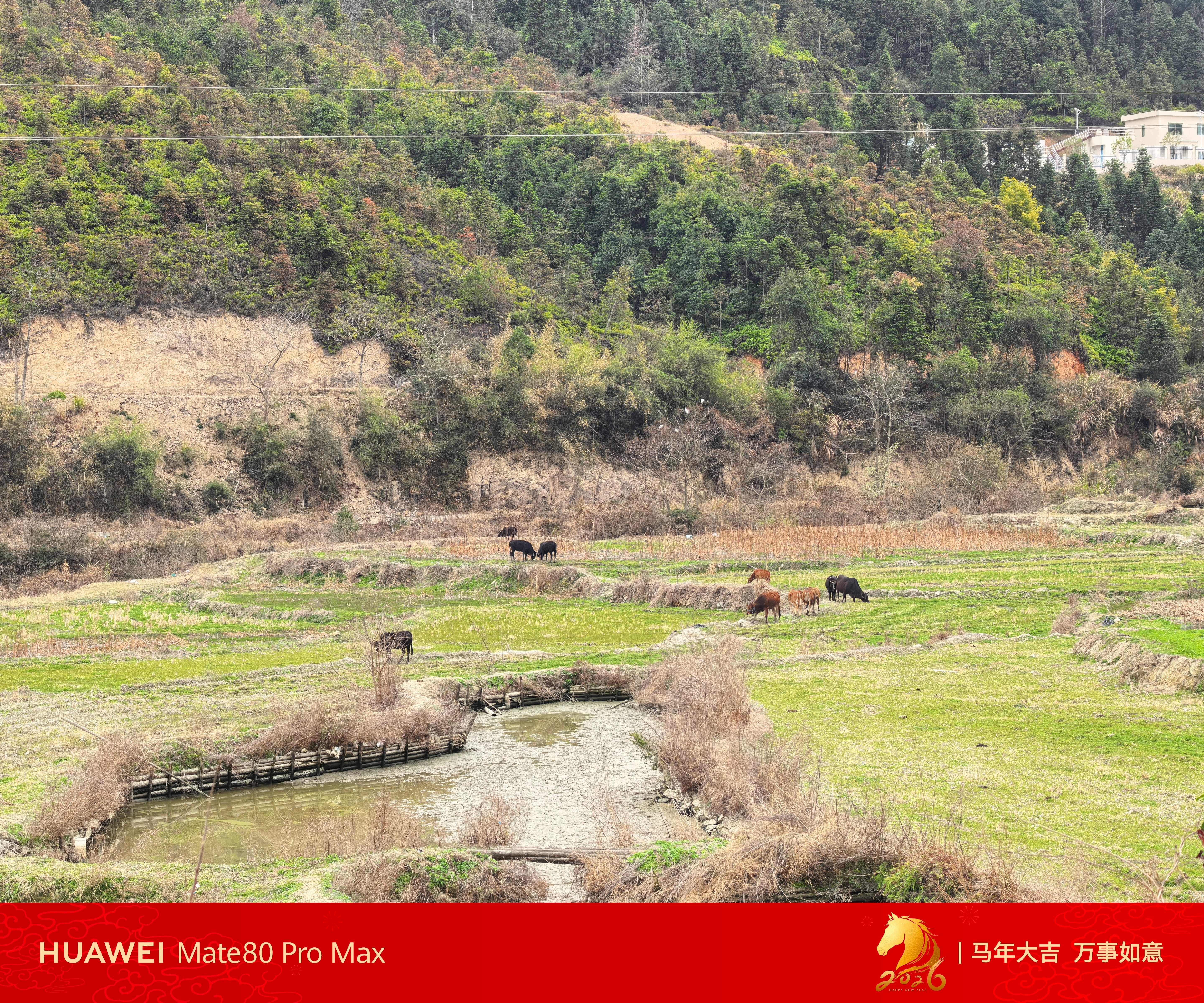 年过完了，村里又开始恢复宁静了～