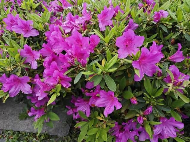 六十岁以后还往死里养生的，最后都把自己养废了。我见过最惨的活法——拿退休金买罪