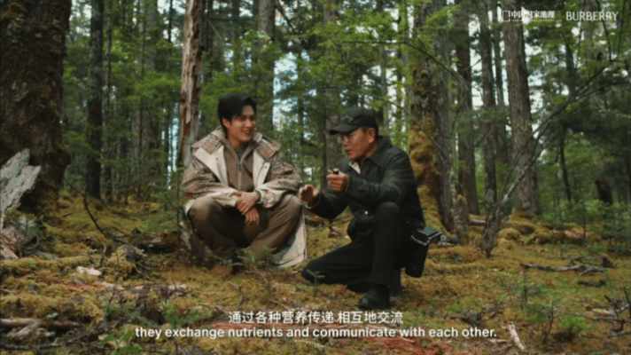 韩东君逛山逛出人生感悟在普拉措国家公园，听香格里拉高山植物园副理事长彭建生讲解