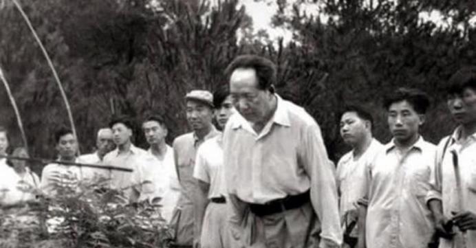 1959年，毛主席回到了韶山。发现父母的坟墓因缺乏维护，已经破烂不堪。面对身边人