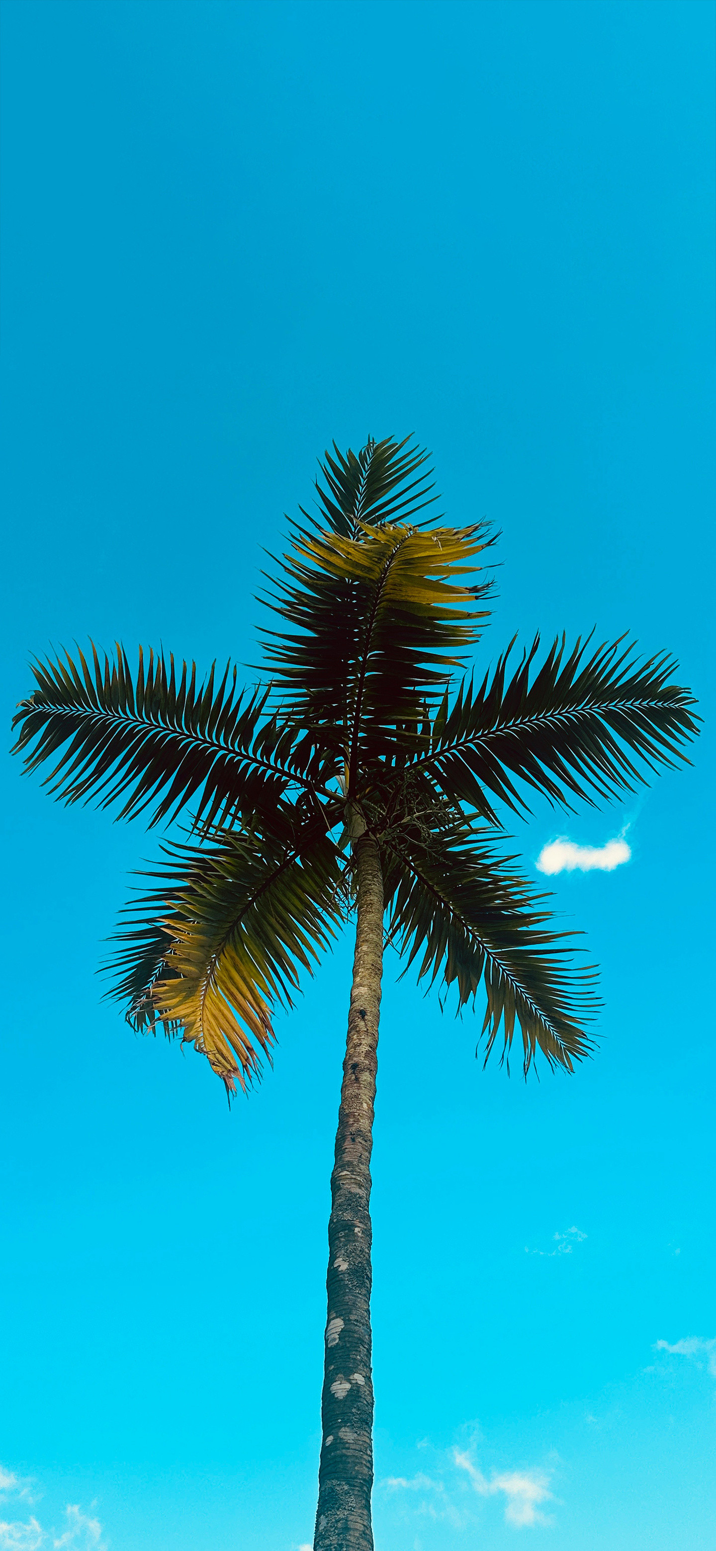 小伙伴们早，起床了吗？风景壁纸