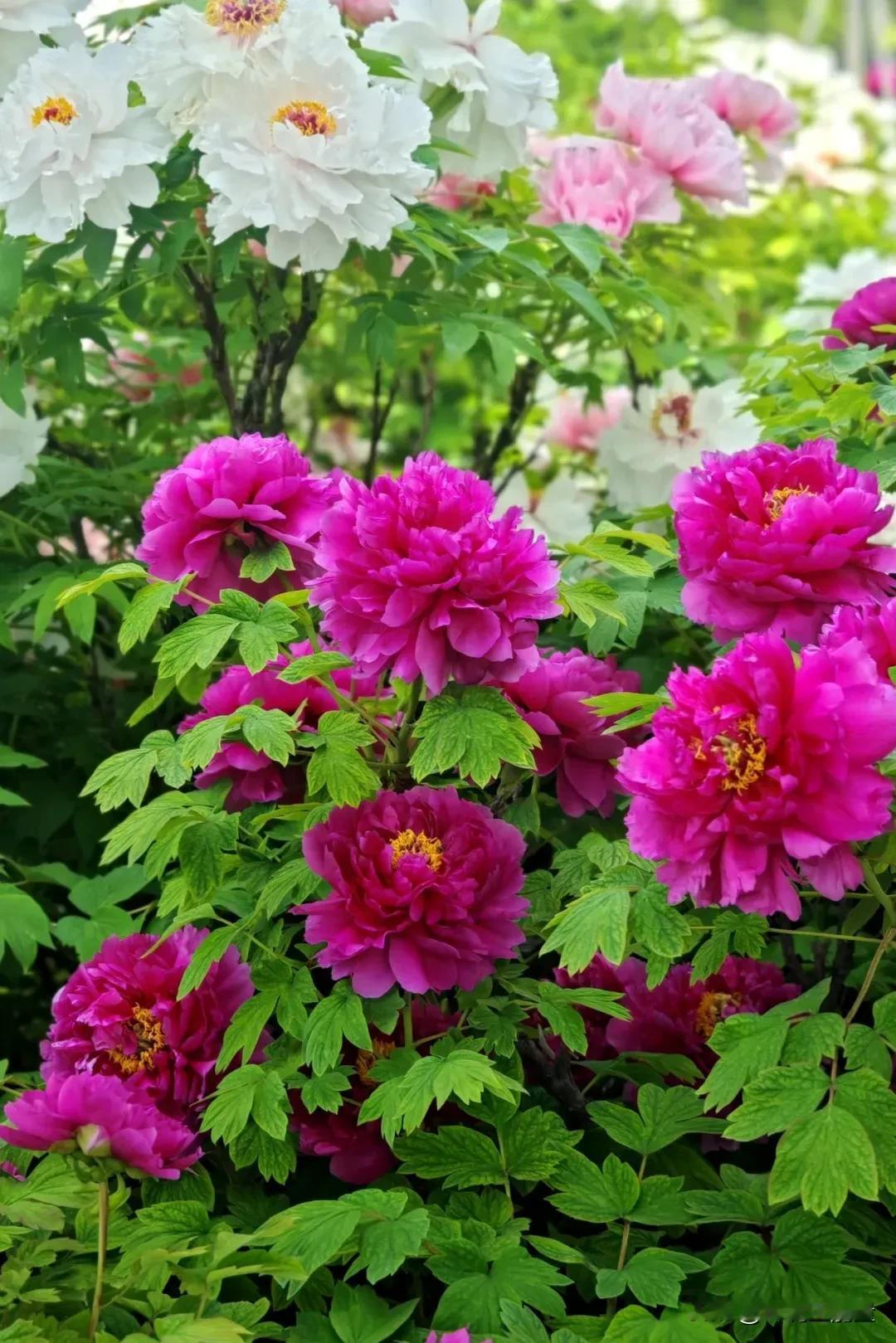 扎心真相：美貌在财富面前，真的不值钱很现实的一段话：“美丽根本不值钱，十个