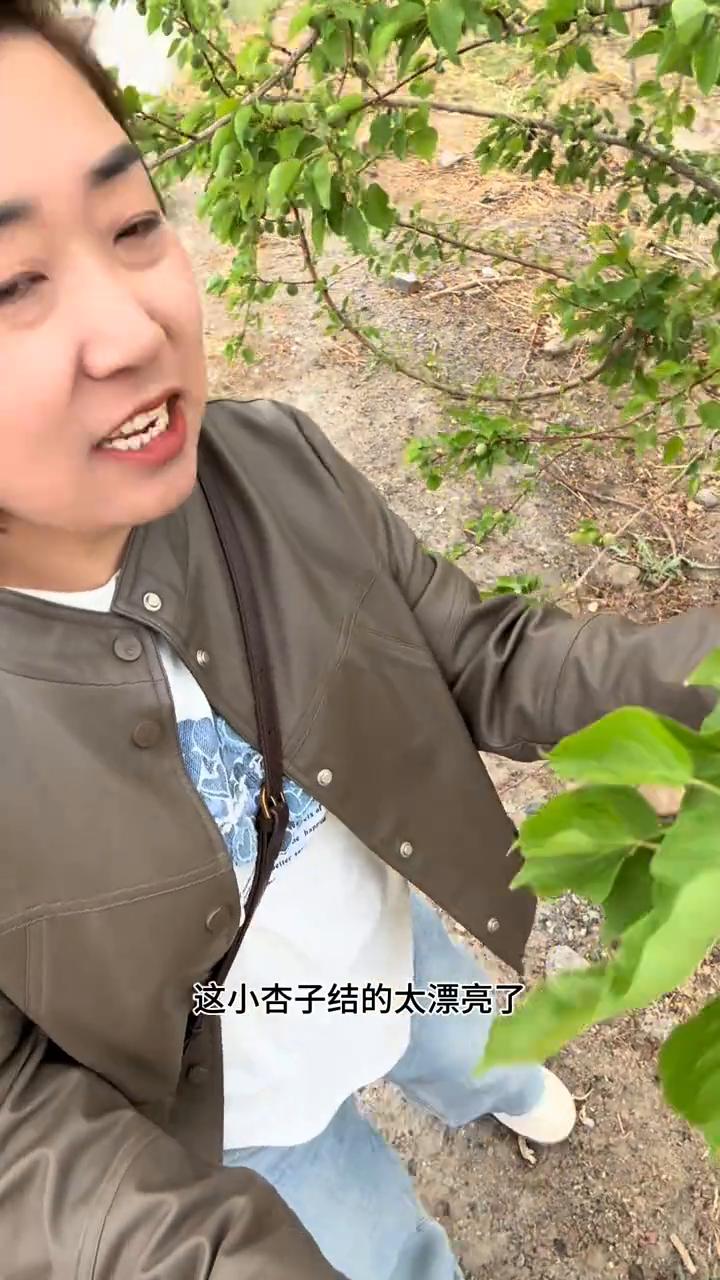 地里果树结的特别好，有些人不问自取，认识的人还不好意思说。大约有10来天没有来