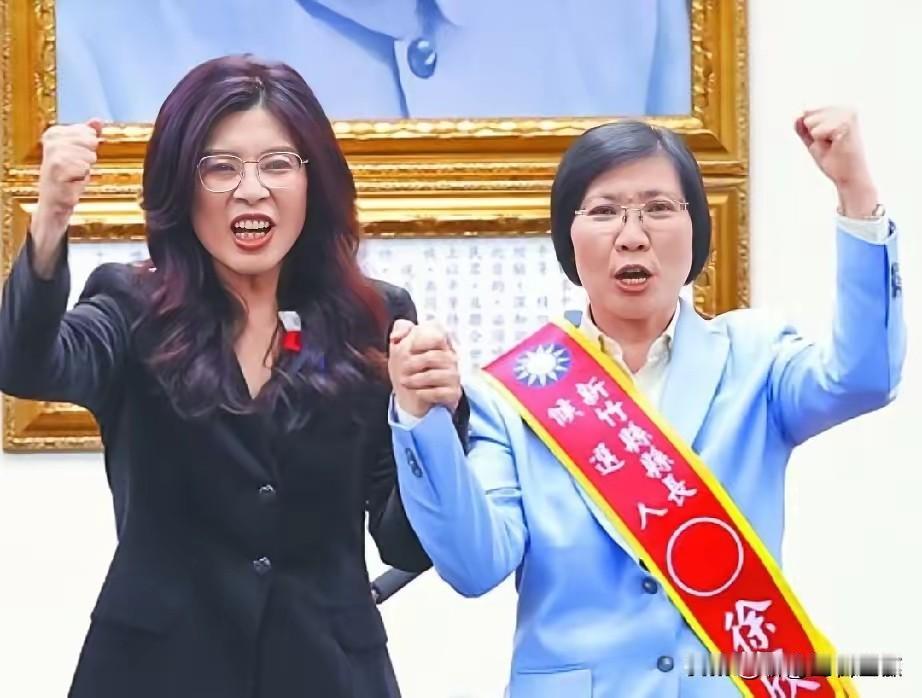 抛开竹北市蓝白合破局不讲，徐欣莹是岛内极少数敢于折腾的典范了。聊湾区看世界盘点如