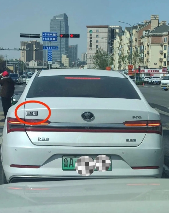 如果这是一辆网约车，是不是很膈应人