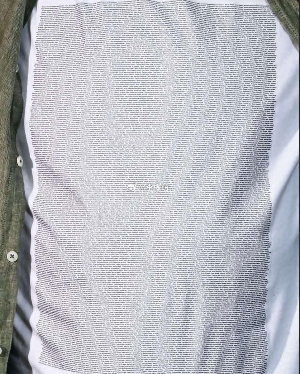 朱利安·阿桑奇在戛纳电影节上穿了一件T恤，上面印着4986名被以色列杀害的五