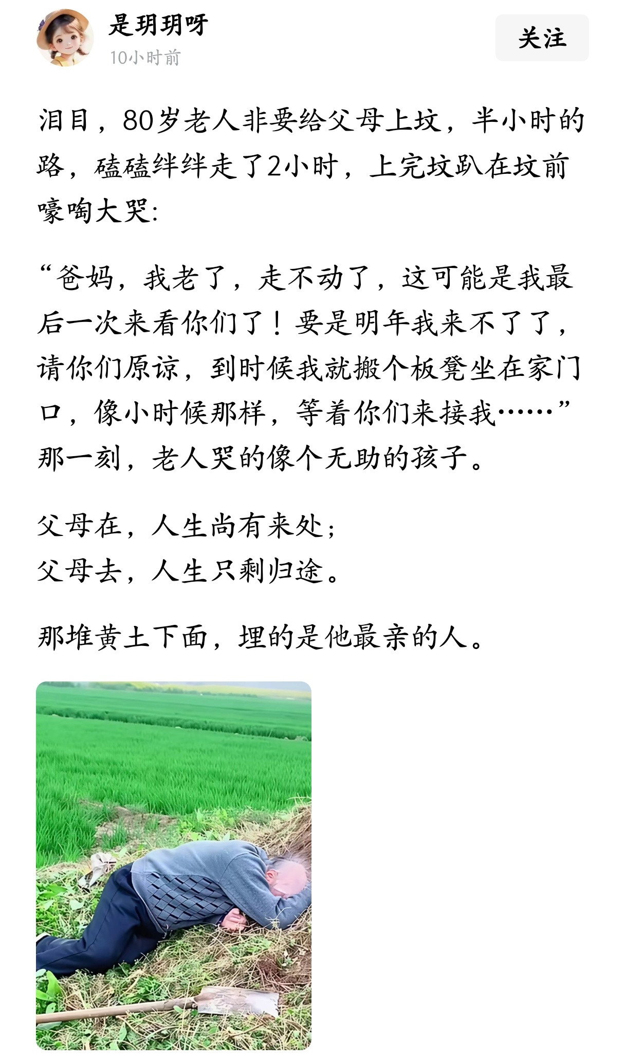 父母在，人生尚有来处；父母去，人生只剩归途。这一幕看哭了！