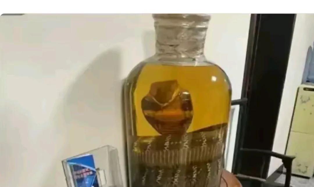 广东一位村民将一条眼镜王蛇浸泡在高度白酒中，历经半年时光，酒液已由原本的白色蜕变