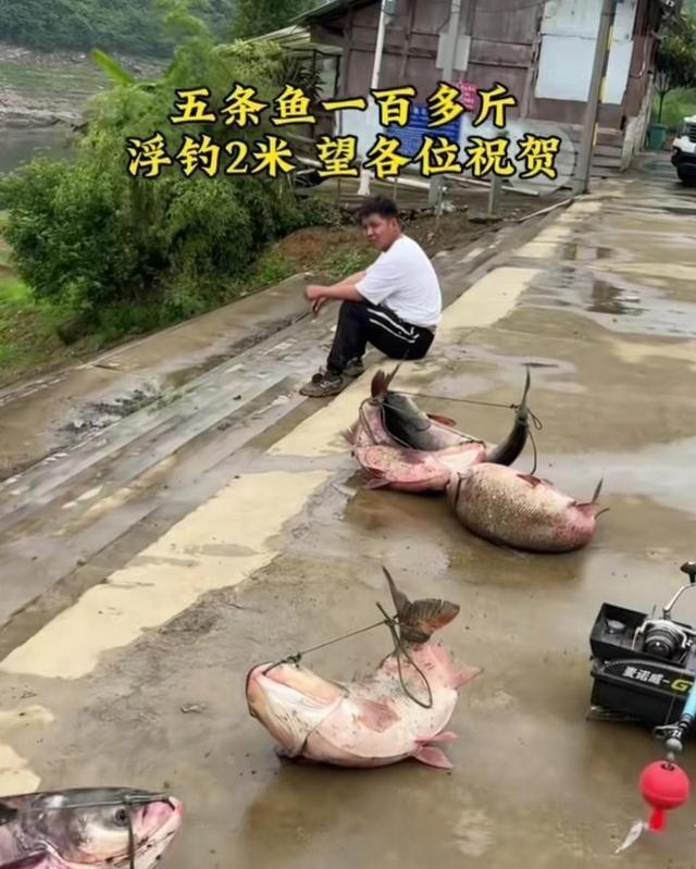 钓鱼佬把鱼绑成弓形，真不是为了挂腰间方便或者拍照装杯，这叫“弓鱼术”，纯粹是为了