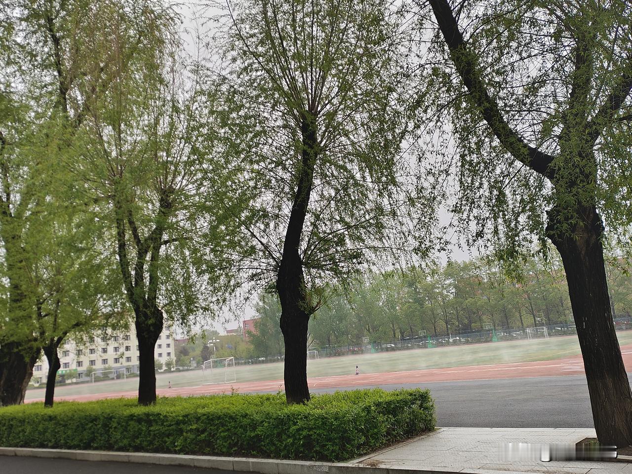 40岁后，懂生活就是懂养生！早睡，可以修复85%的脏腑损耗晒太阳，