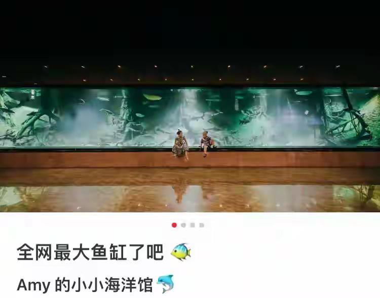 两年前看到一个超级暴富女家里养鲨鱼，原来是陈志的老婆记得2023年看