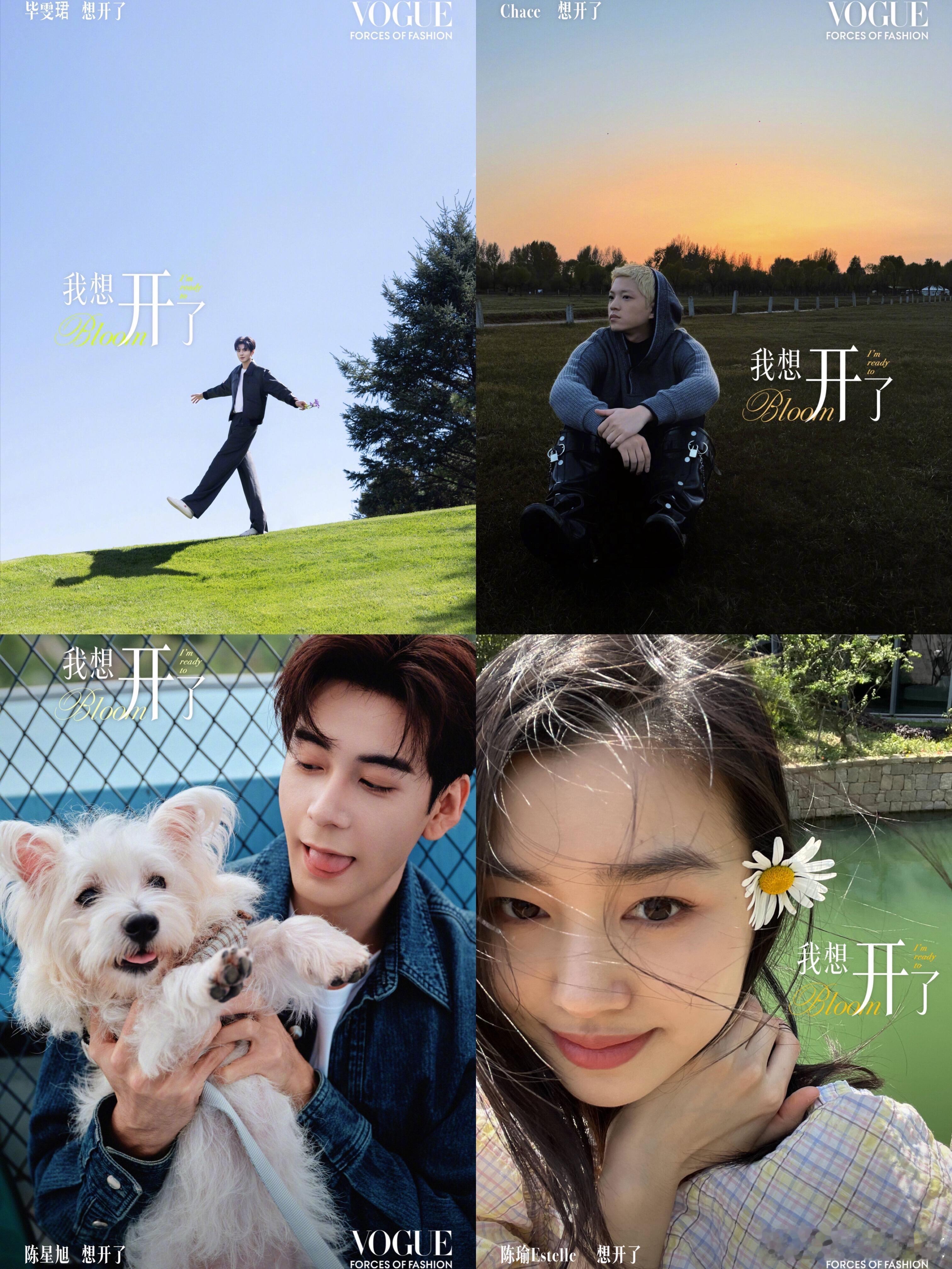 VOGUE盛典阵容完整名单一览！【女星】谷爱凌、黄英、吉克隽逸、金晨