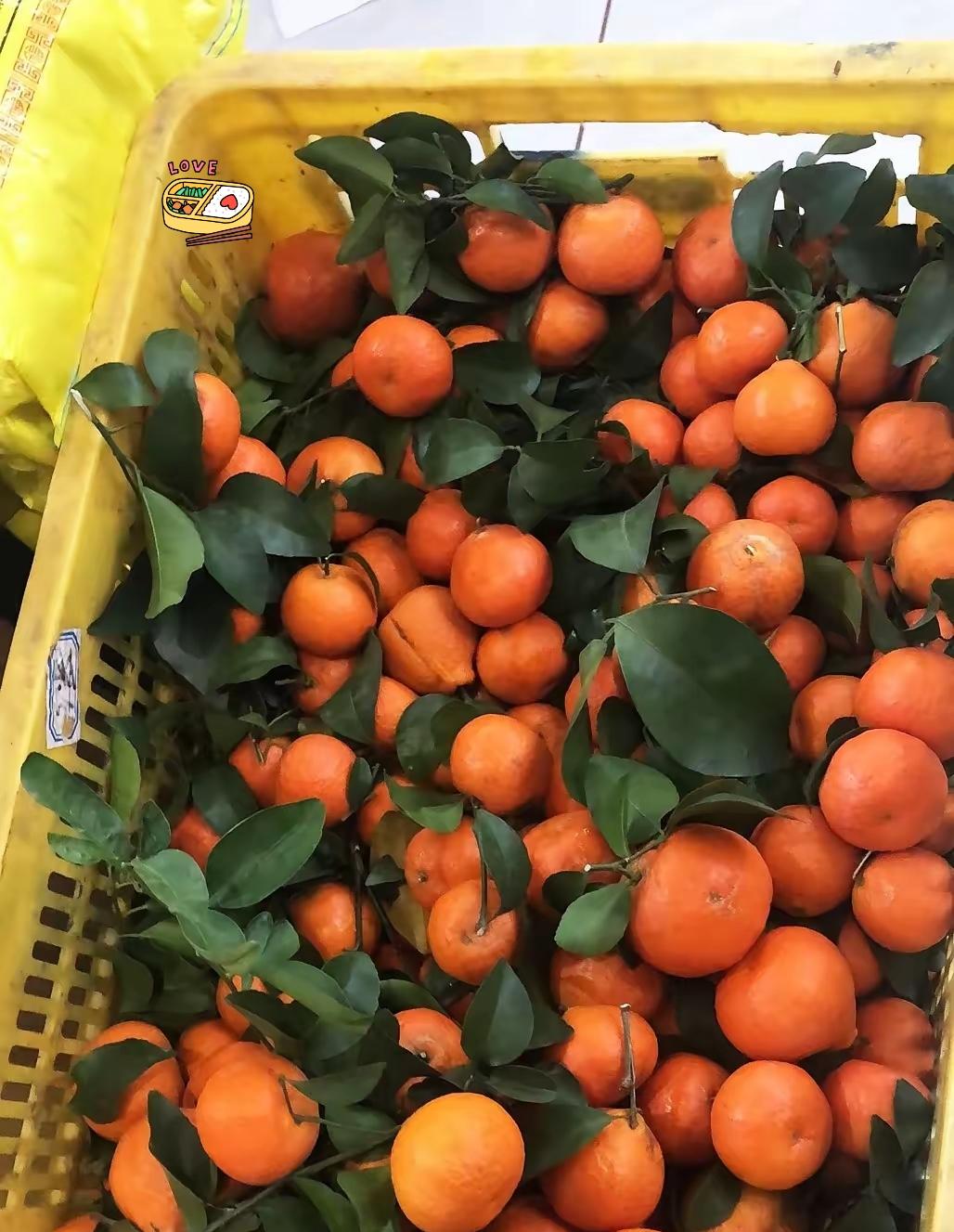 我老公太不懂事了！堂哥刚才打来电话，说他的沙糖桔卖不动了，让我老公拿两箱回来过年