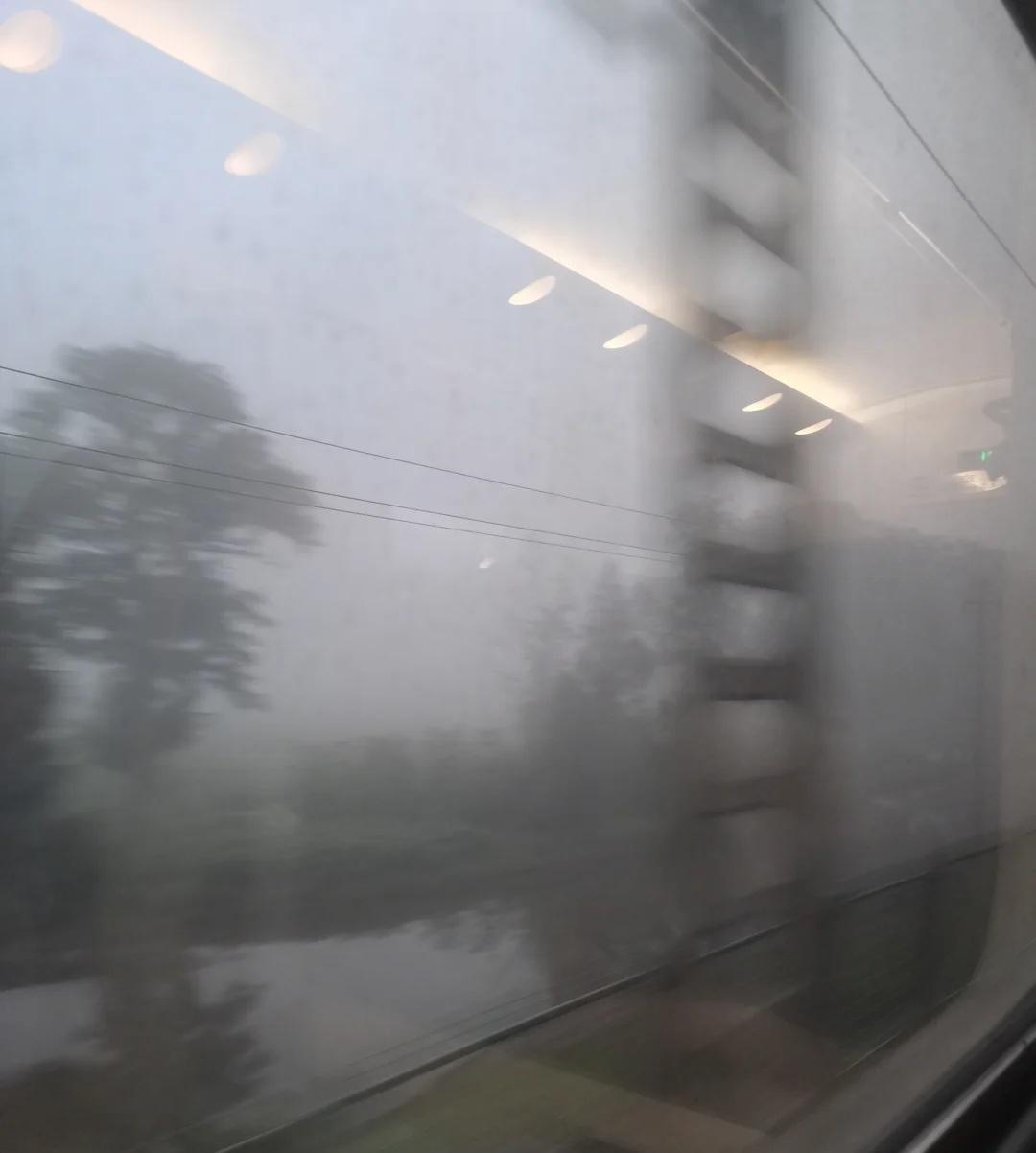 想回东北。我想回东北。我不该用回这个字,因为我是天津人。我在天津长大,我的幼