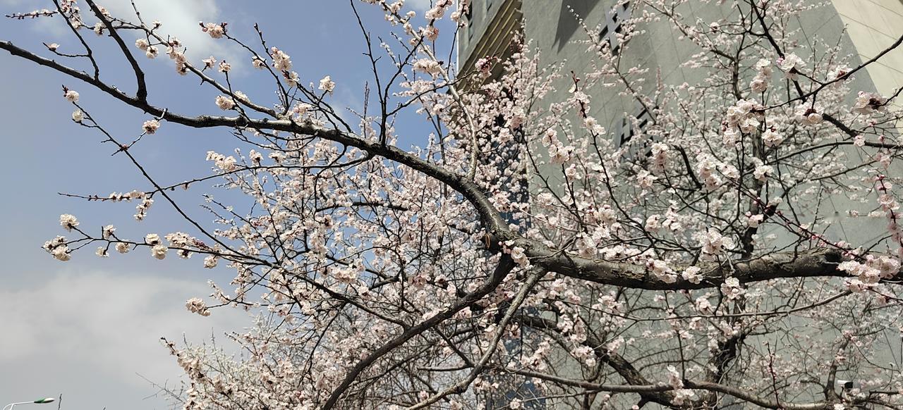 妻子喜欢别人家的孩子，她去外甥女家看外甥女的小儿子。她给孩子买了一个玩具，孩子很