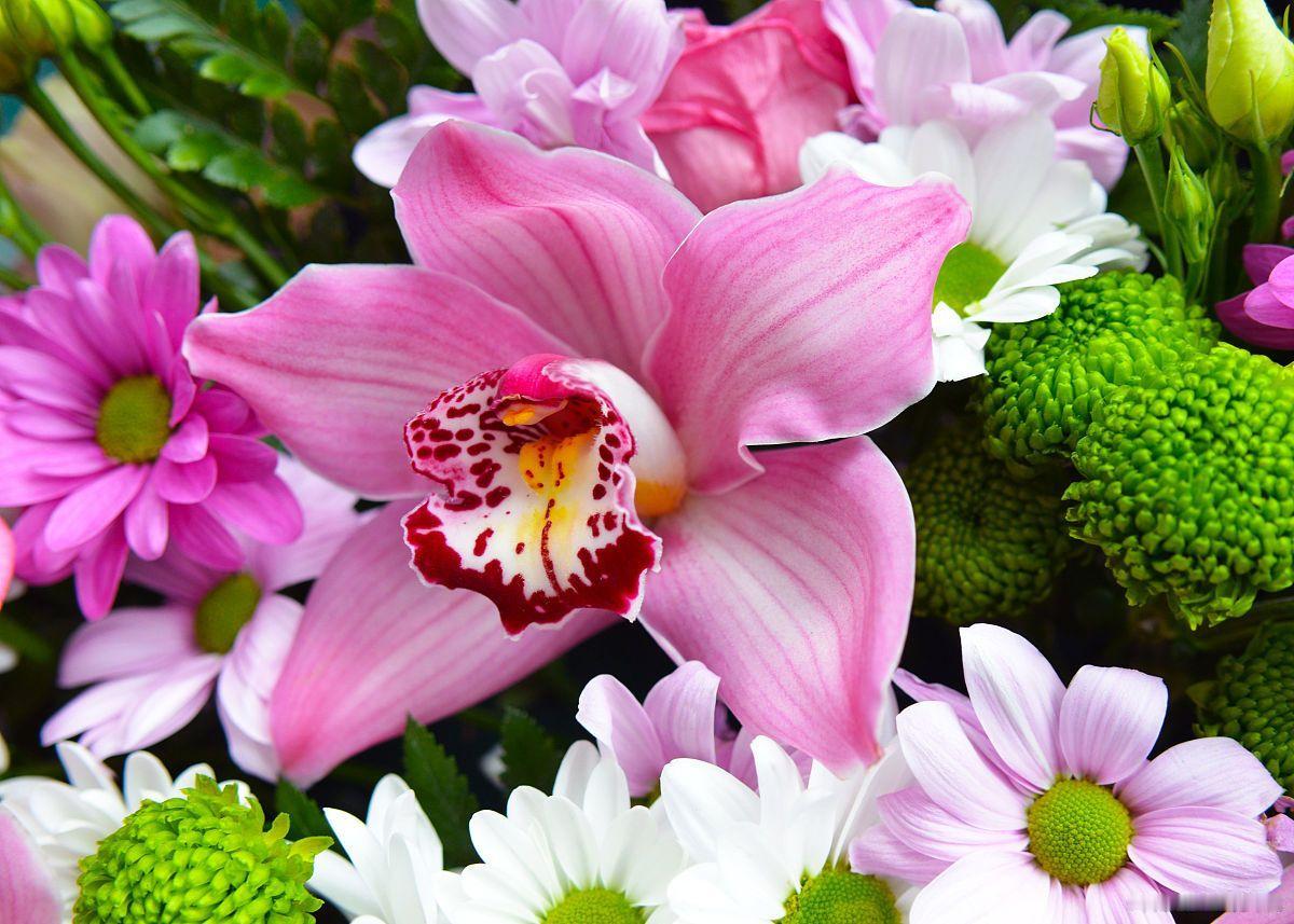 我是一个老太太今年六十多岁，我自己的退休金2000，我自己都没想到，我一个六十岁