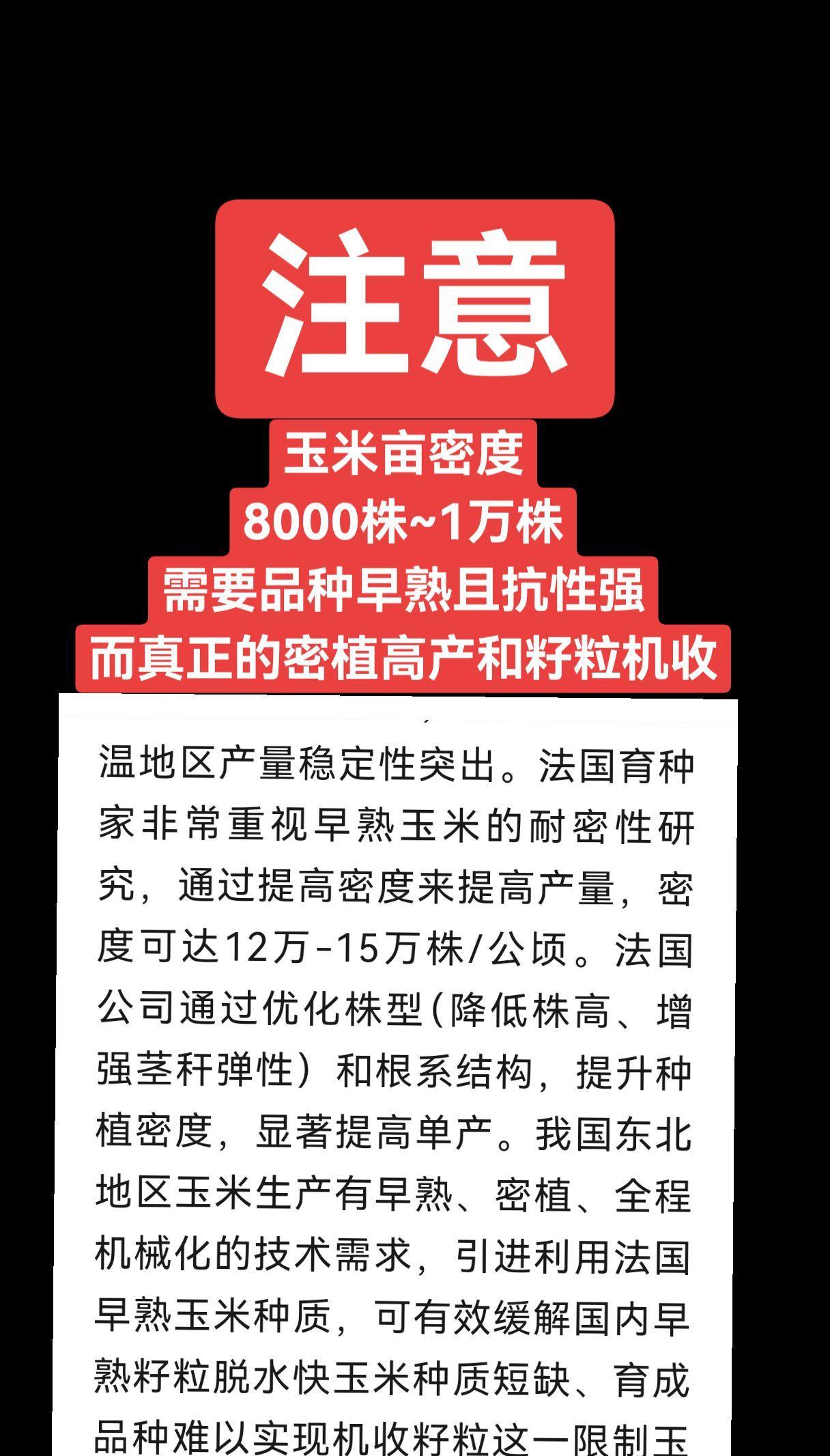 注意：玉米亩密度8000株~1万株需要品种早熟且抗性强而真正的密植高产和籽