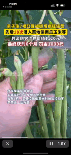 “脑子进水了”！江苏，男子吴某因为18次盗窃被抓。盗窃的农作物总计价值1120元