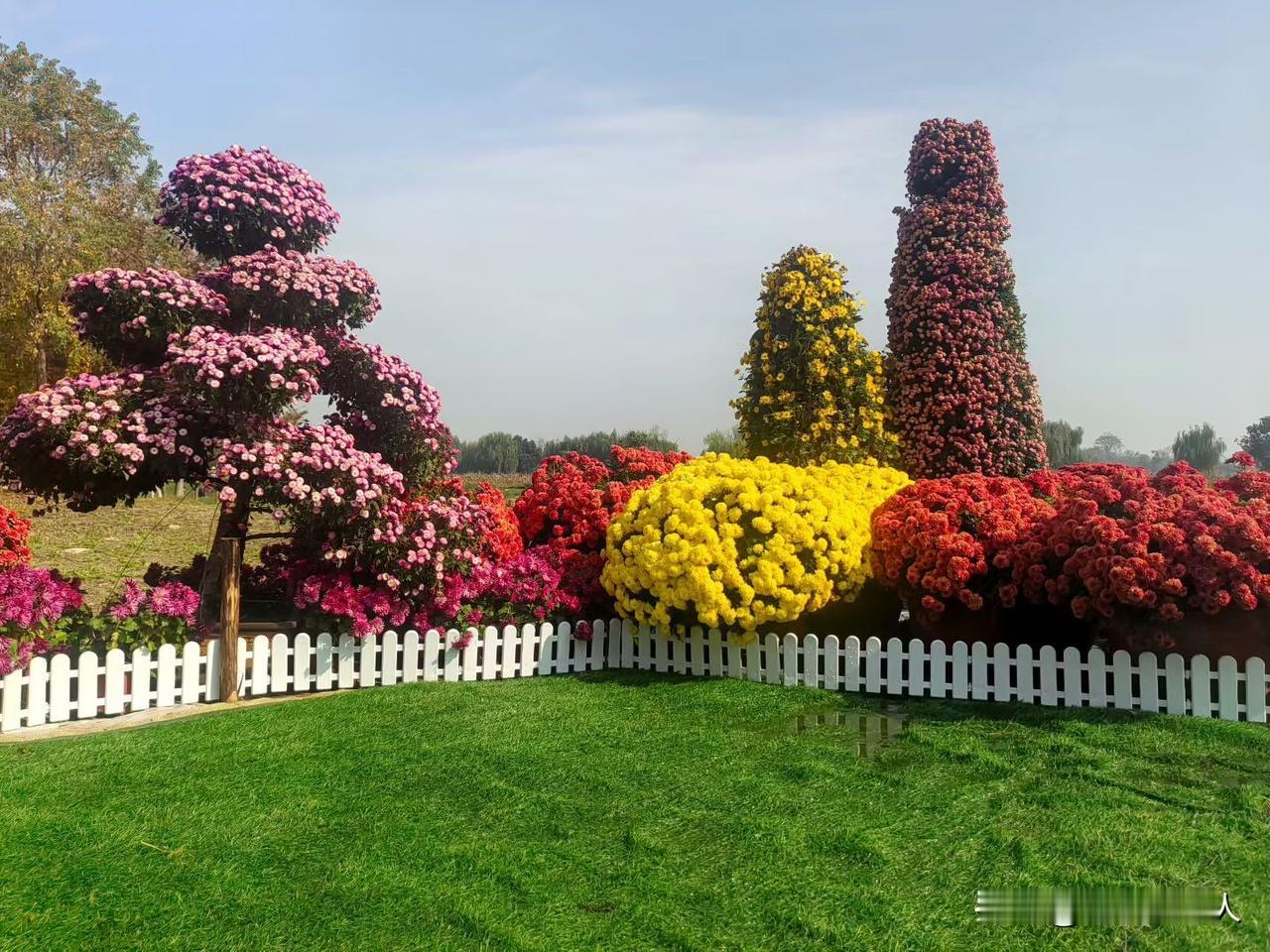 人老了，是健康重要还是金钱重要？有的人认为金钱重要。人老了，手上不能没有钱，