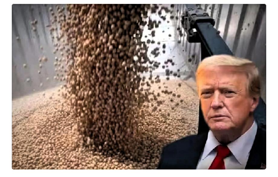 万万没有想到，中国展现极大合作诚意，大量买美大豆，放宽稀土供应，却换来了美国