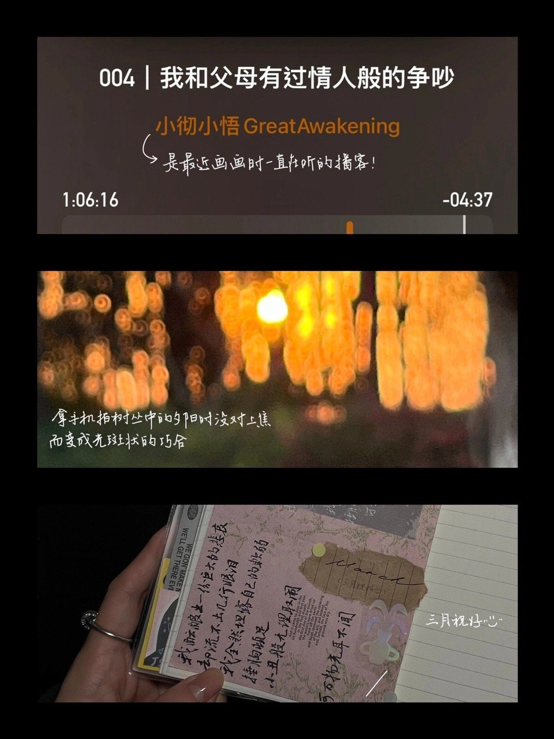 春天的模样是枝叶生长