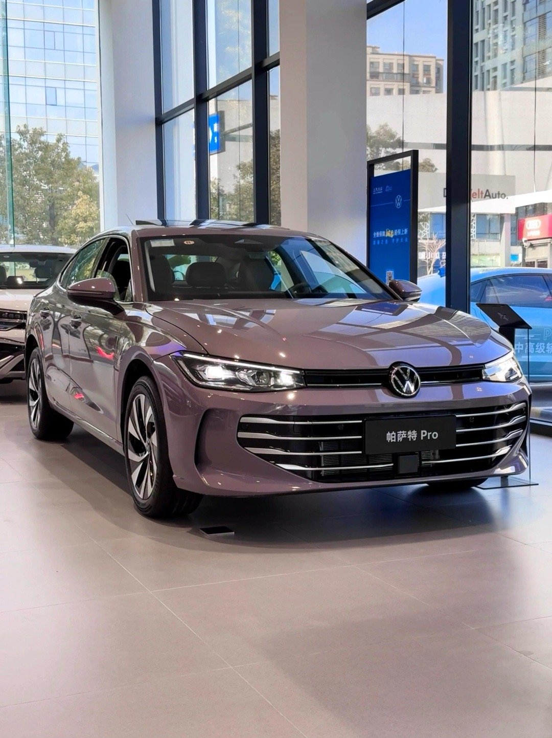 🚘帕萨特Pro比特灰其比特灰车漆宛如静谧夜空里的神秘紫霭，独特又不失稳重，在