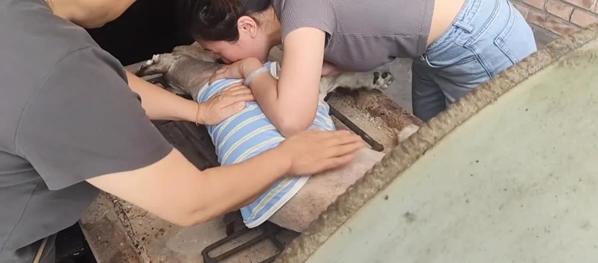 世界之大，无奇不有。有一女子，他养的一条狗不幸死了，在那条狗将要推进火化炉的时候