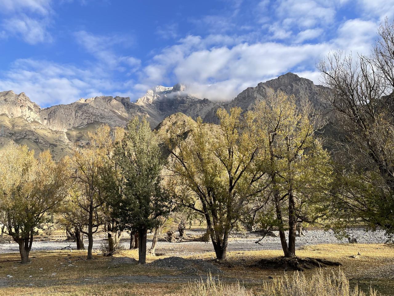 大美新疆！一日四季！感受人间仙境！